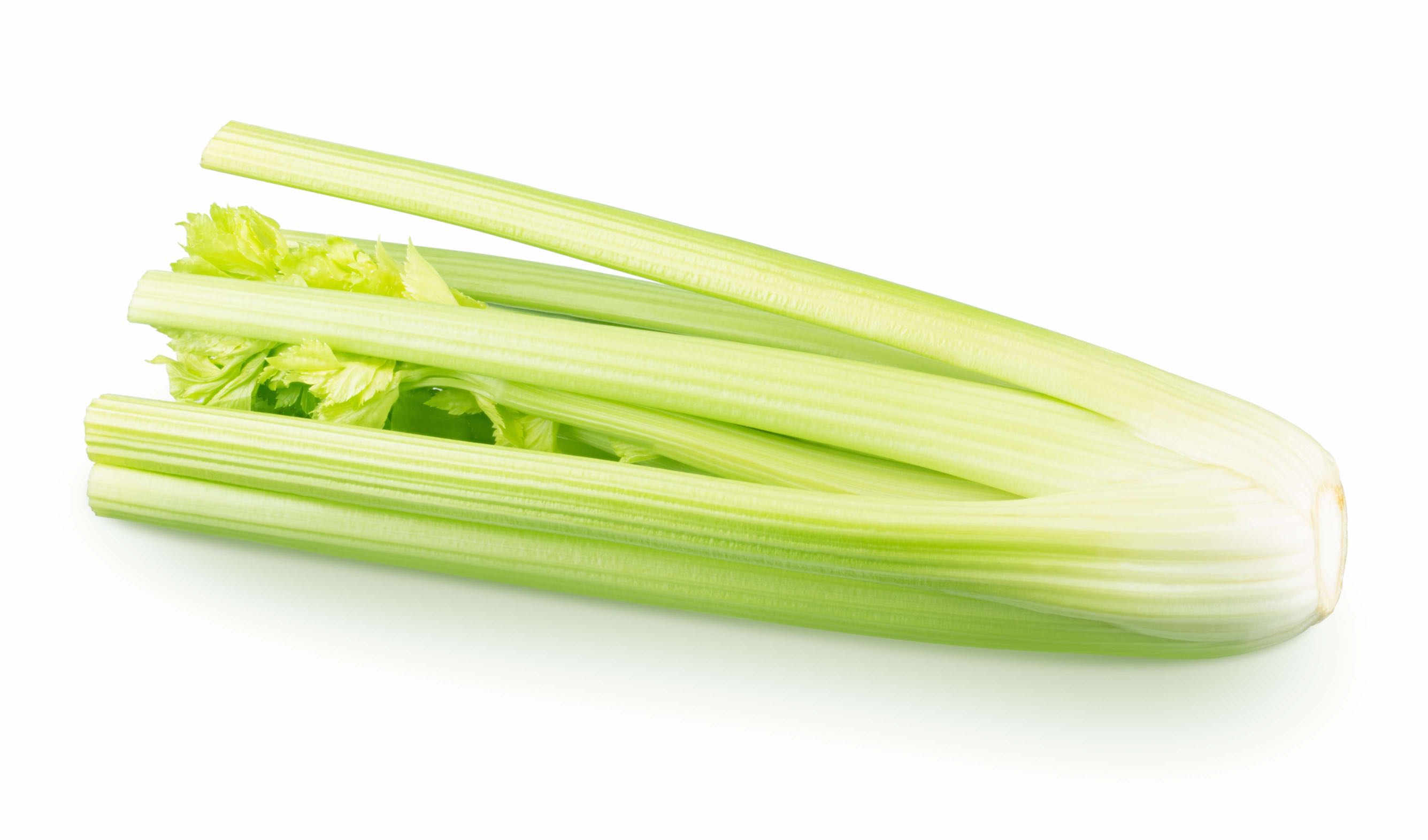 67164e415b087.jpeg