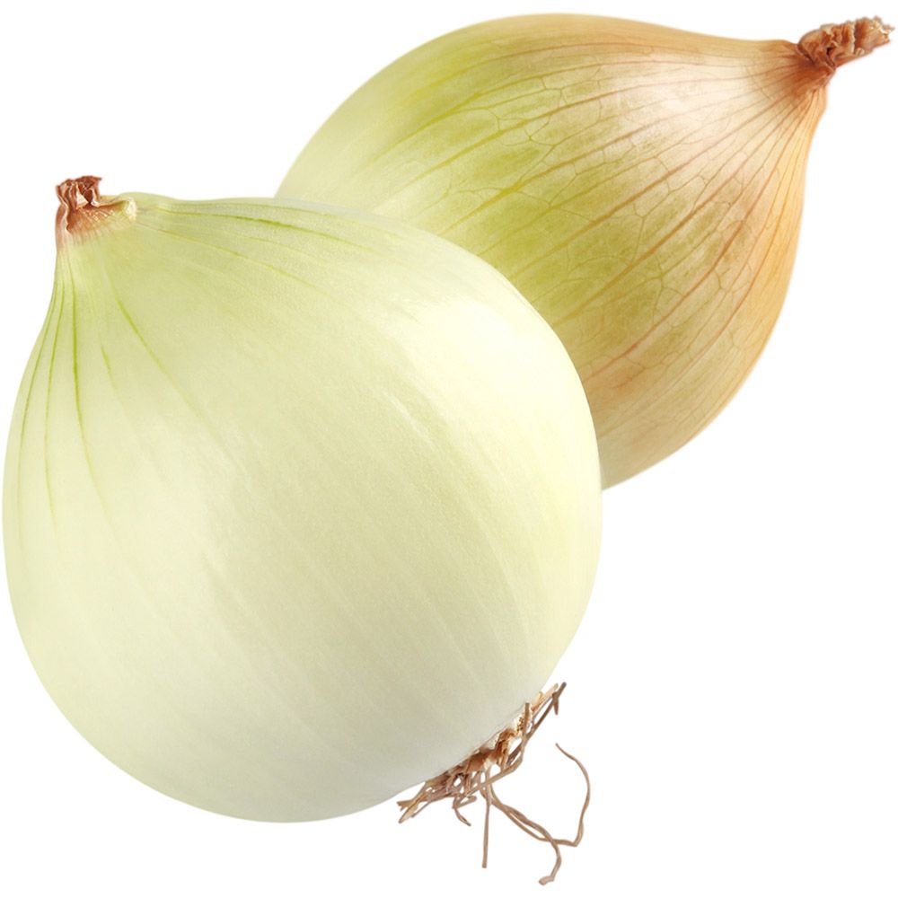 67164e458d931.jpeg